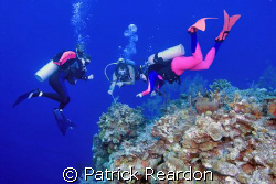 Chris, of Indigo Divers, points out tiny shrimp and a cra... by Patrick Reardon 